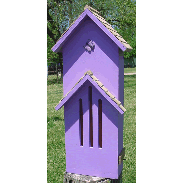 Thached Roof Butterfly House - Lavender