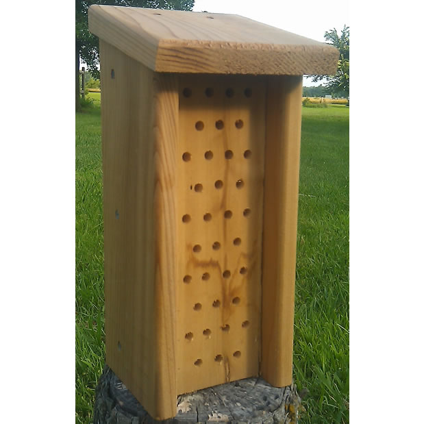 Mason Bee House