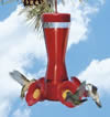 4 Fountains Hummingbird Feeder