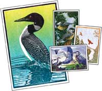 Boreal Birds Notecards