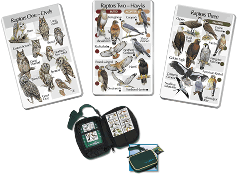 Raptor - 3 Card Set with Carry Case