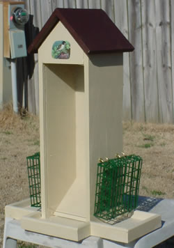 Seed & Suet Feeder