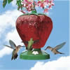 Strawberry Hummingbird Feeder