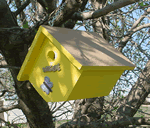 Wren House Diamond Yellow