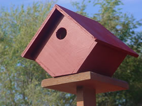 Wren bird house - Style A