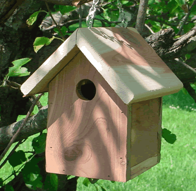 Eastern Cedar Wren Birdhouse