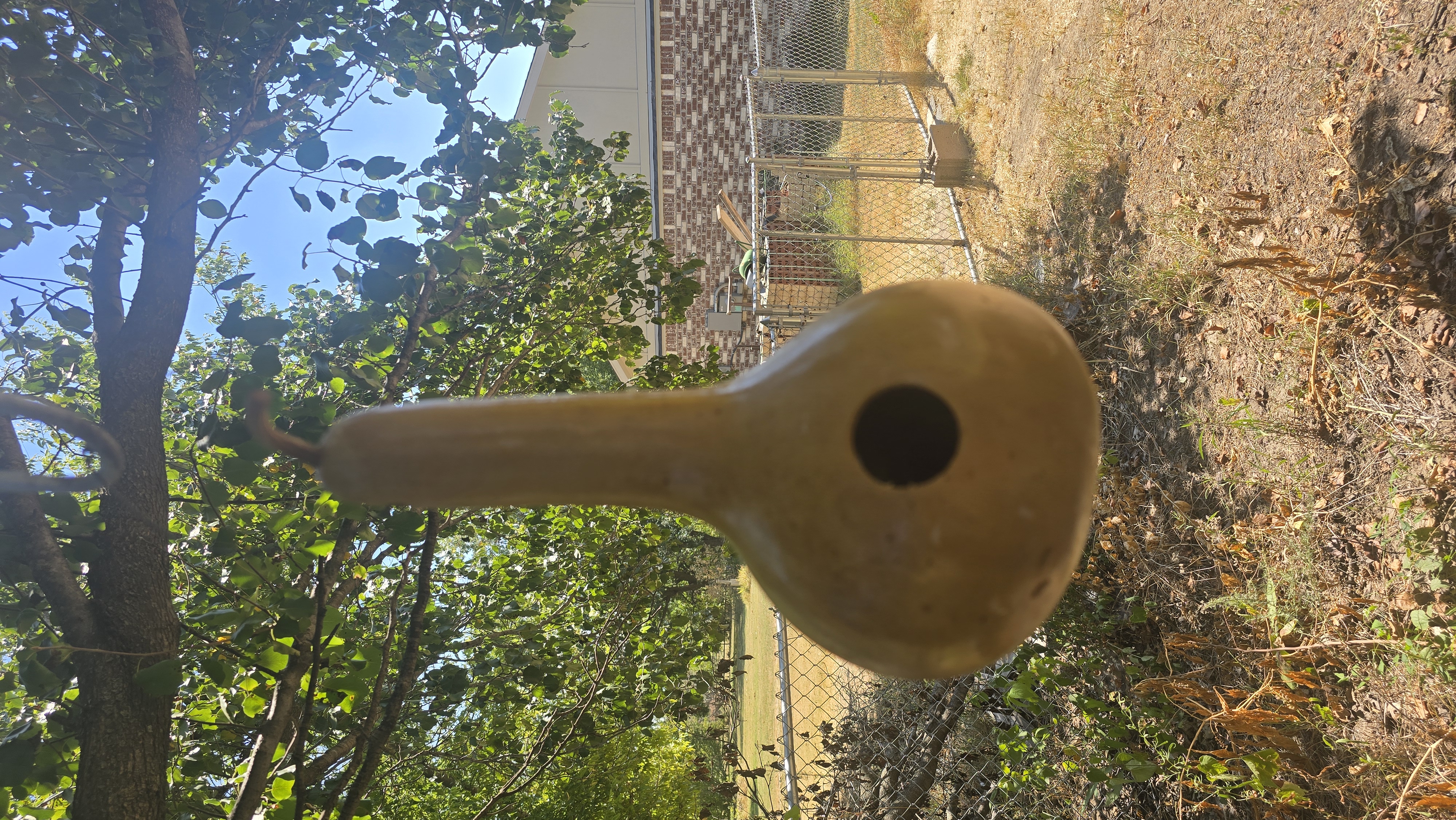 Long neck gourd Bird House